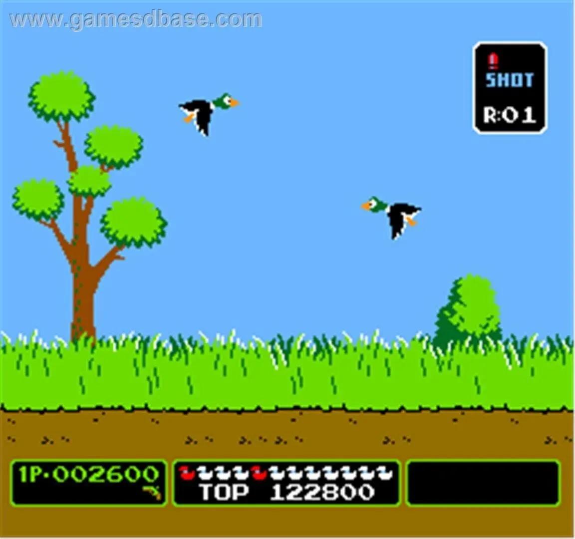 Duck Hunt Gallery 2