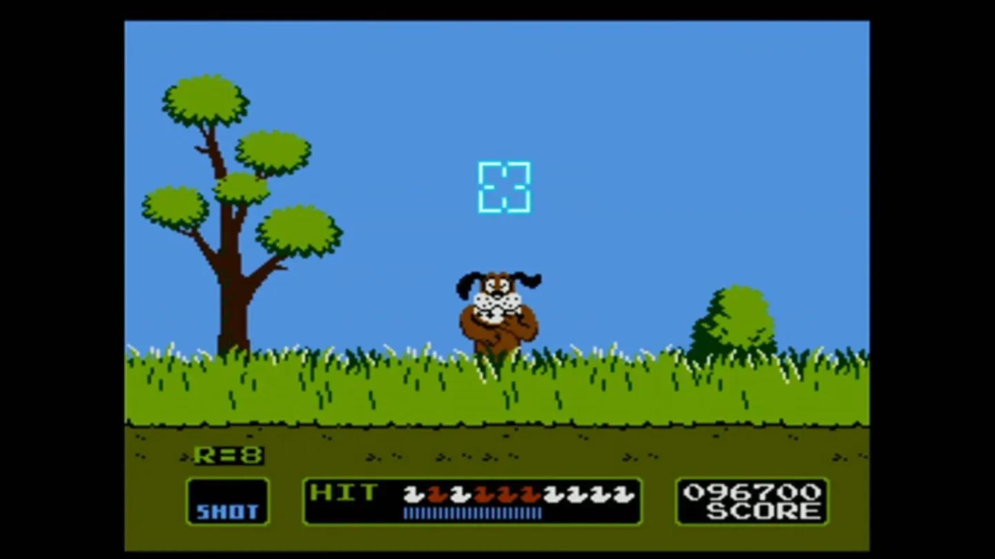 Duck Hunt Gallery 3