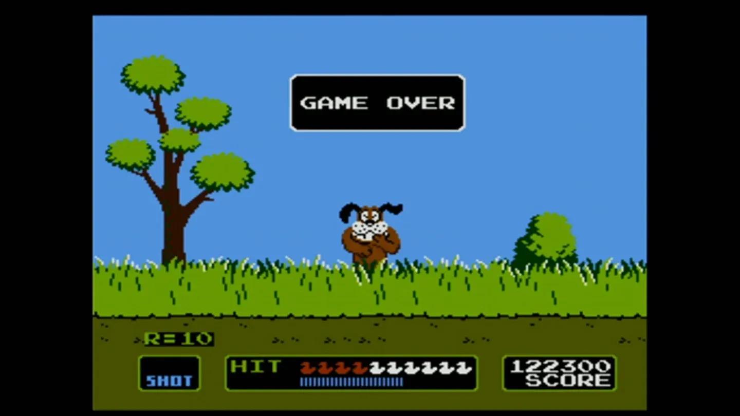 Duck Hunt Gallery 5