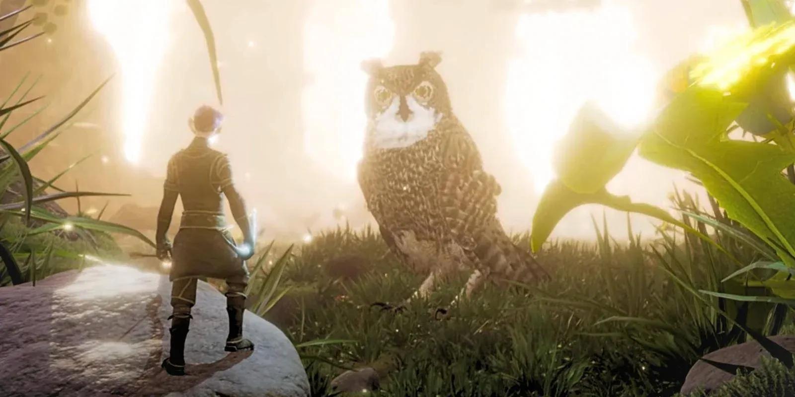 Every Tameable Creature in Smalland: Survive the Wilds 