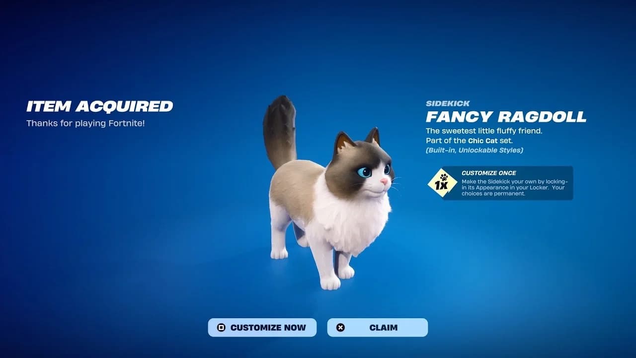 Fortnite Fancy Ragdoll Sidekick: Price, Rewards, and How to Get It