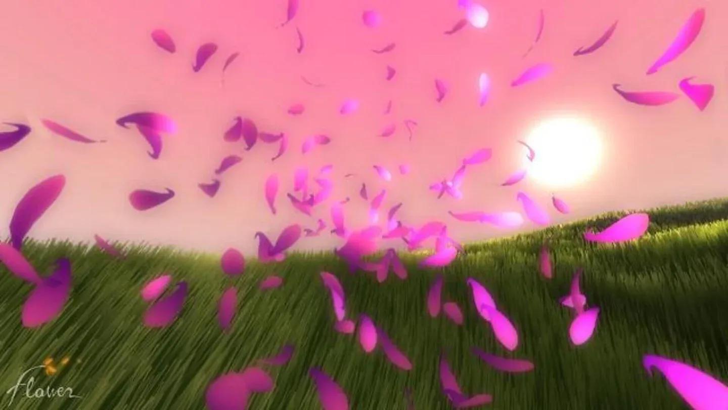 Flower Gallery 10