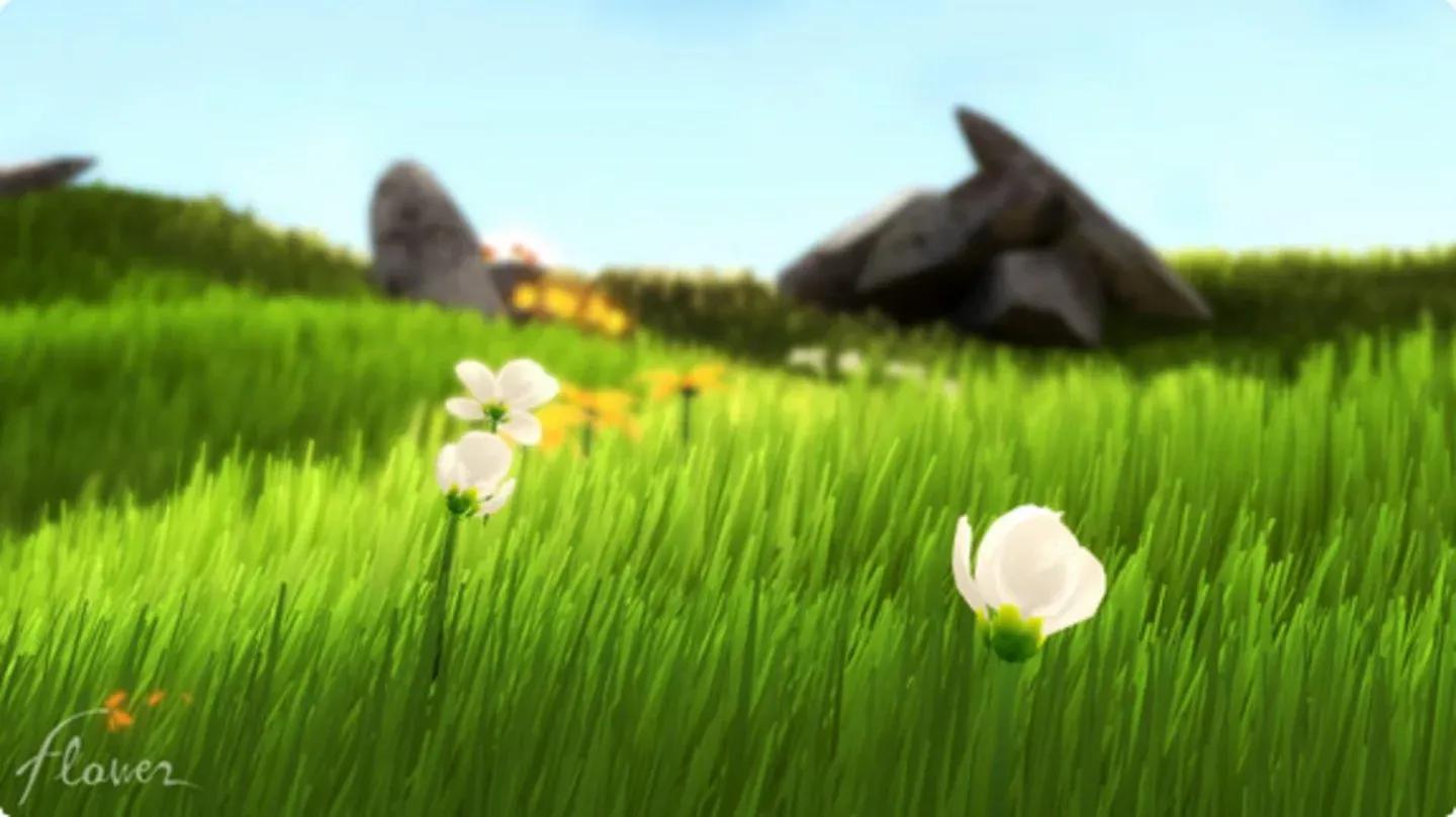 Flower Gallery 8