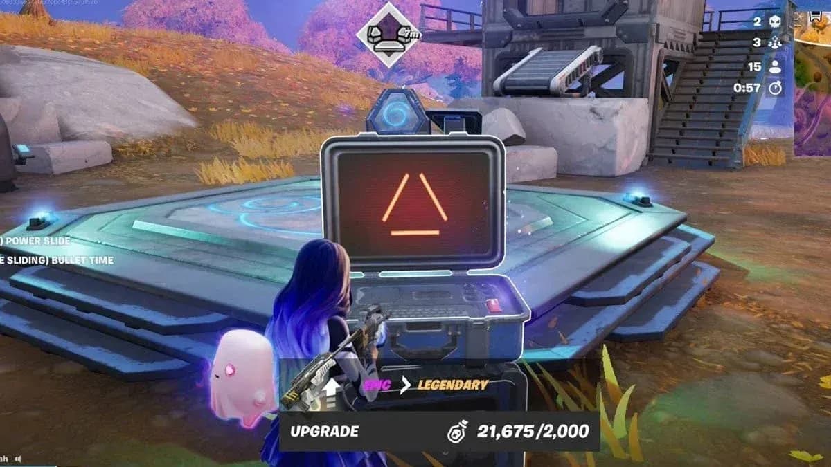 Lootin' Llama variant options