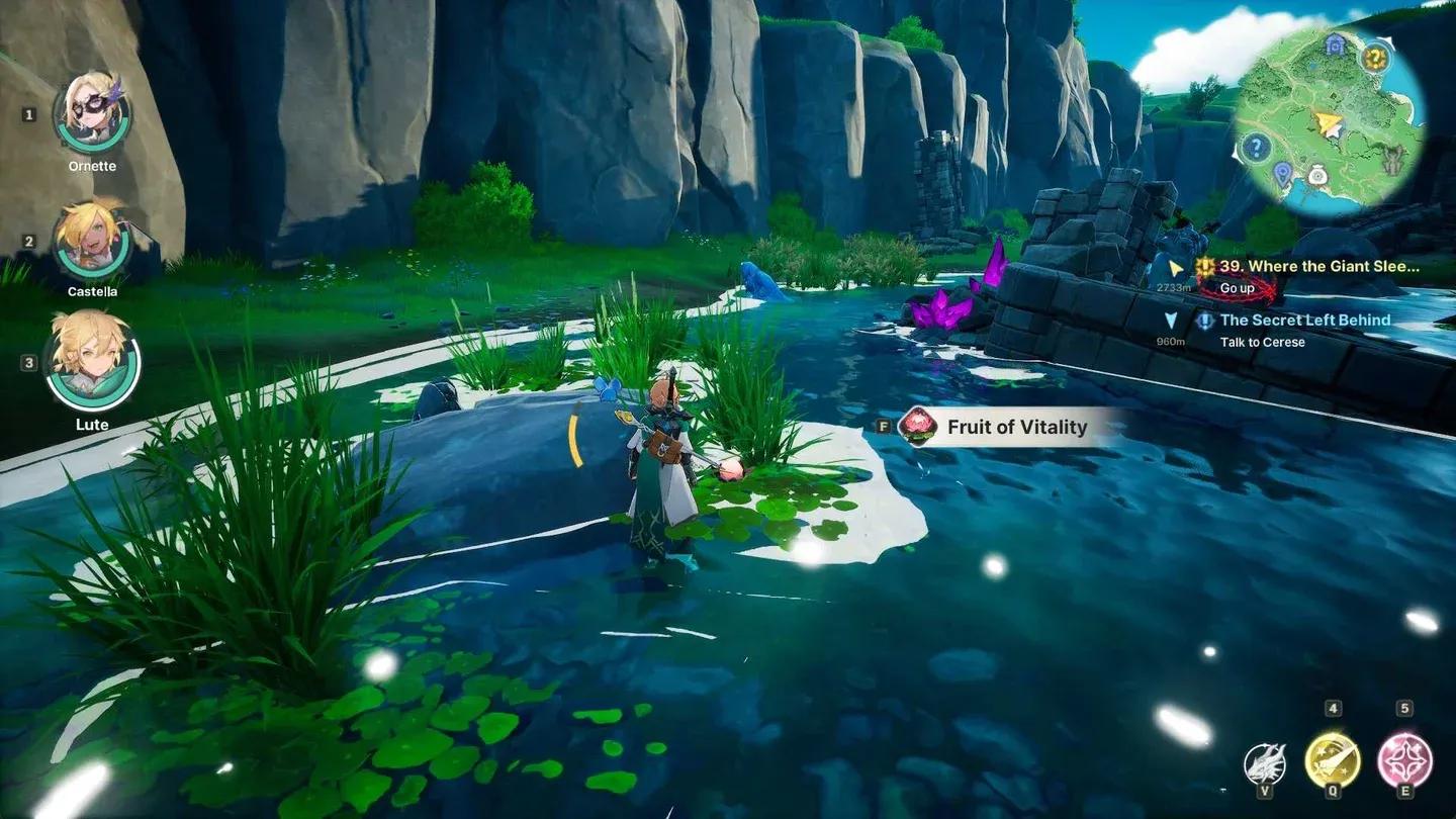 Fruit of Vitality lake nodes