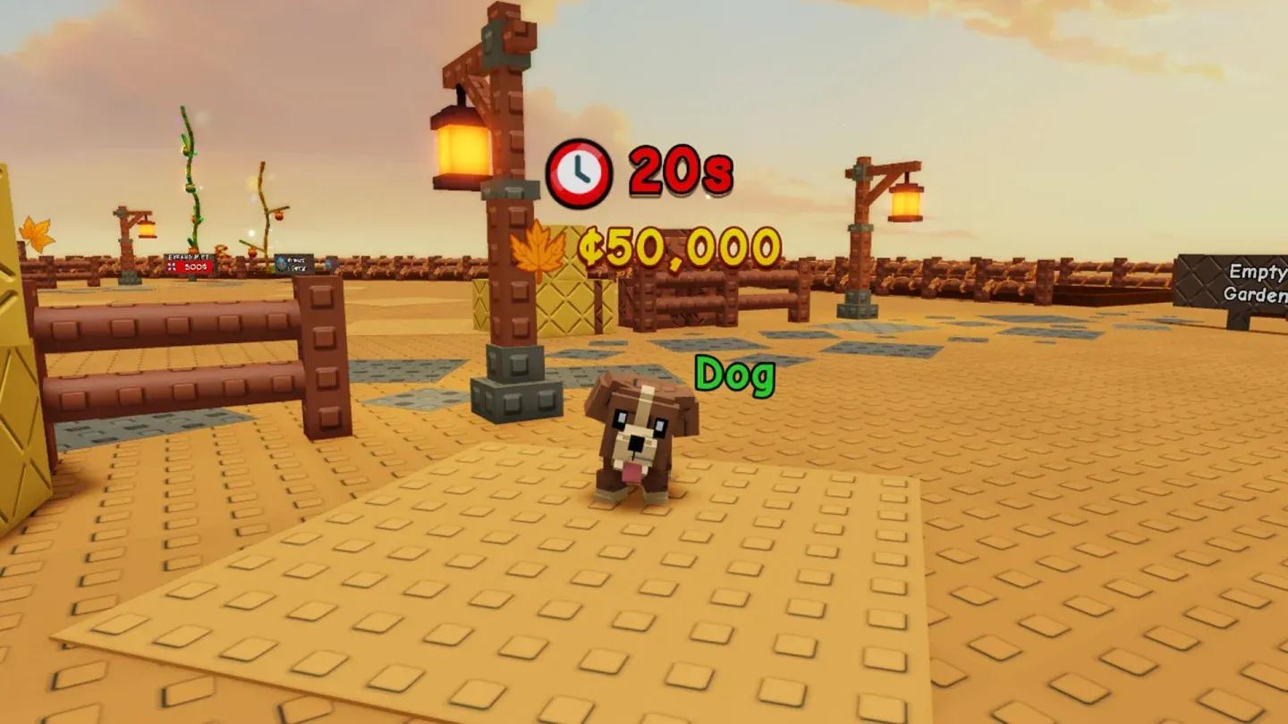 Turkey in event pet lineup