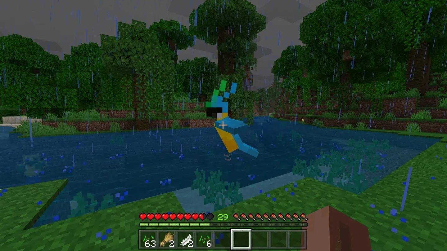 Red hearts confirm a tamed parrot