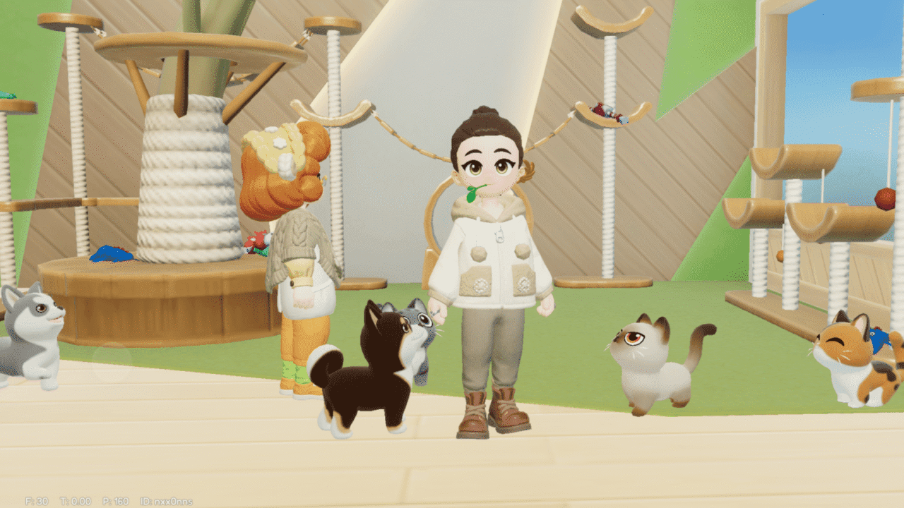 Pet feeding menu interface