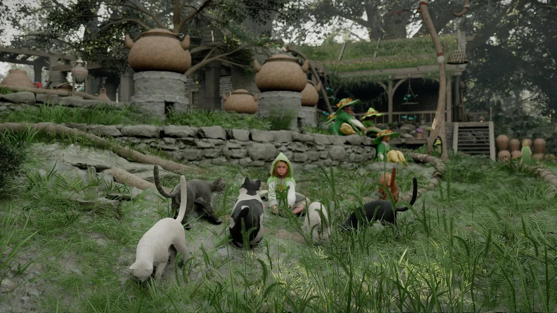 Crimson Desert Guide: How to Enter Pororin Village