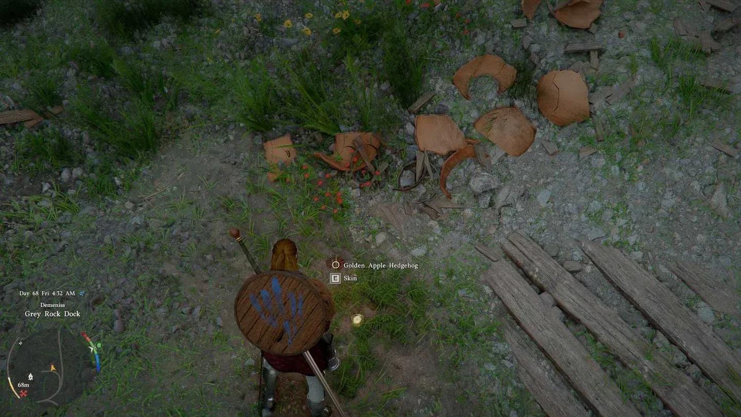 Identifique o brilho dourado em suas costas