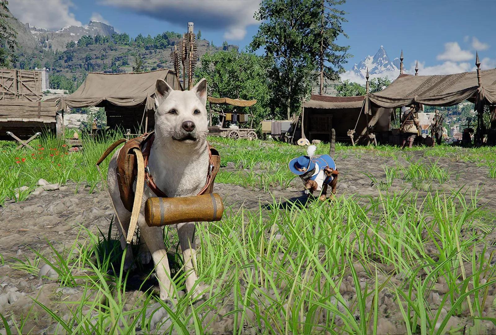 How to get pet armor in Crimson Desert