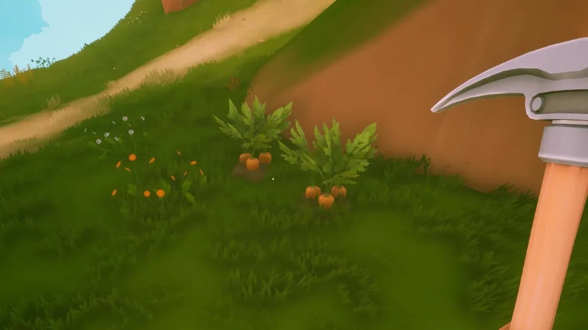 Southern island Carrot locations