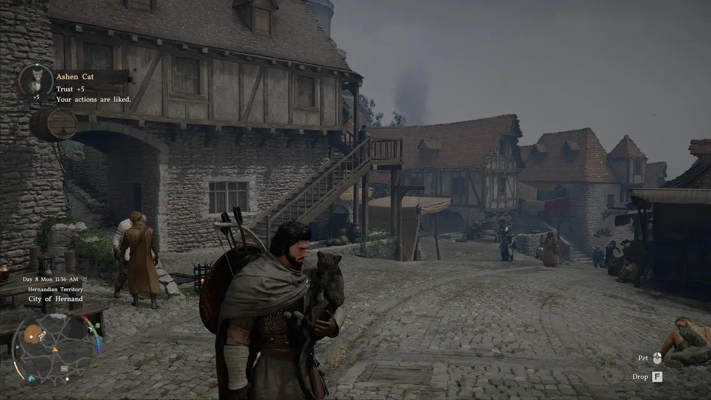 Evcil hayvanınızı beslemek için yiyecek atın