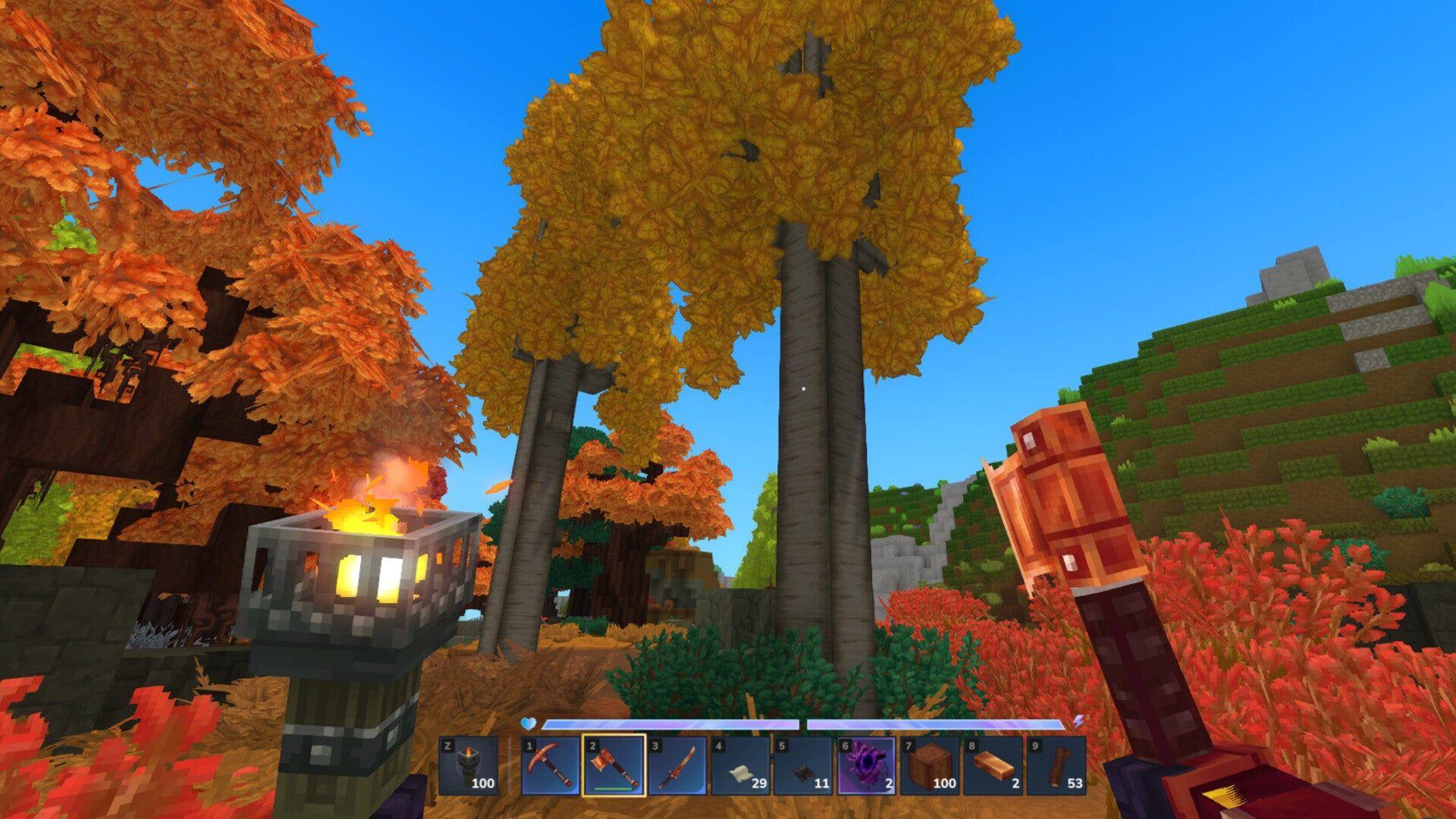 Aspen tree identification