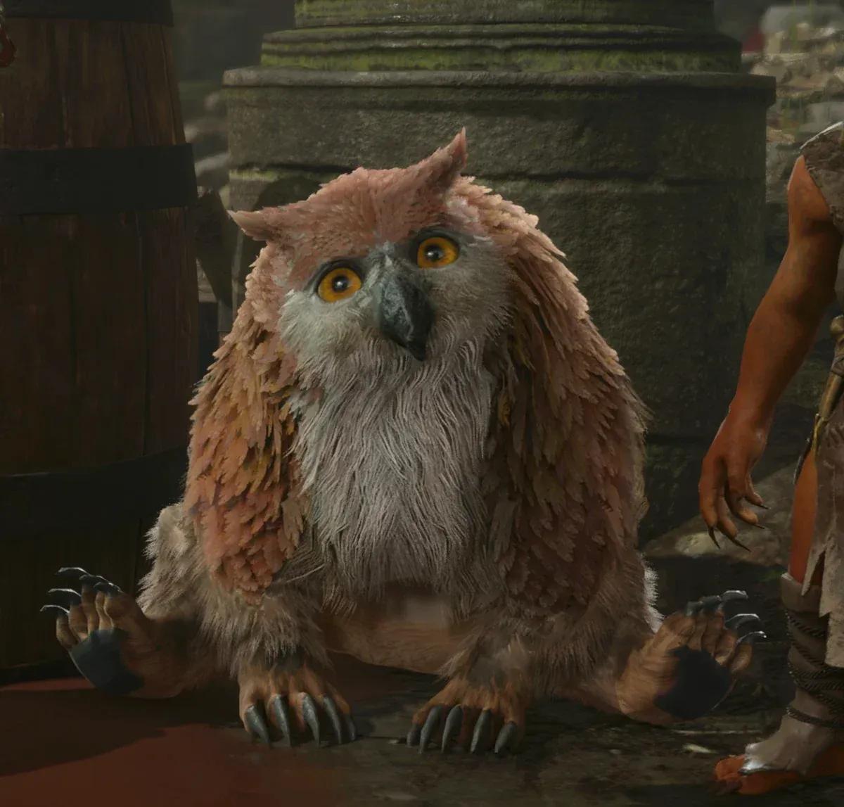 Owlbear cub | Forgotten Realms Wiki ...