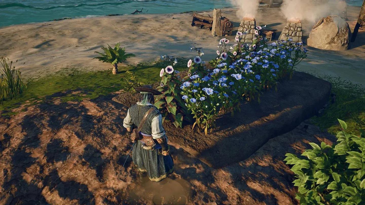 Ancient Farm soil beds, Foothills