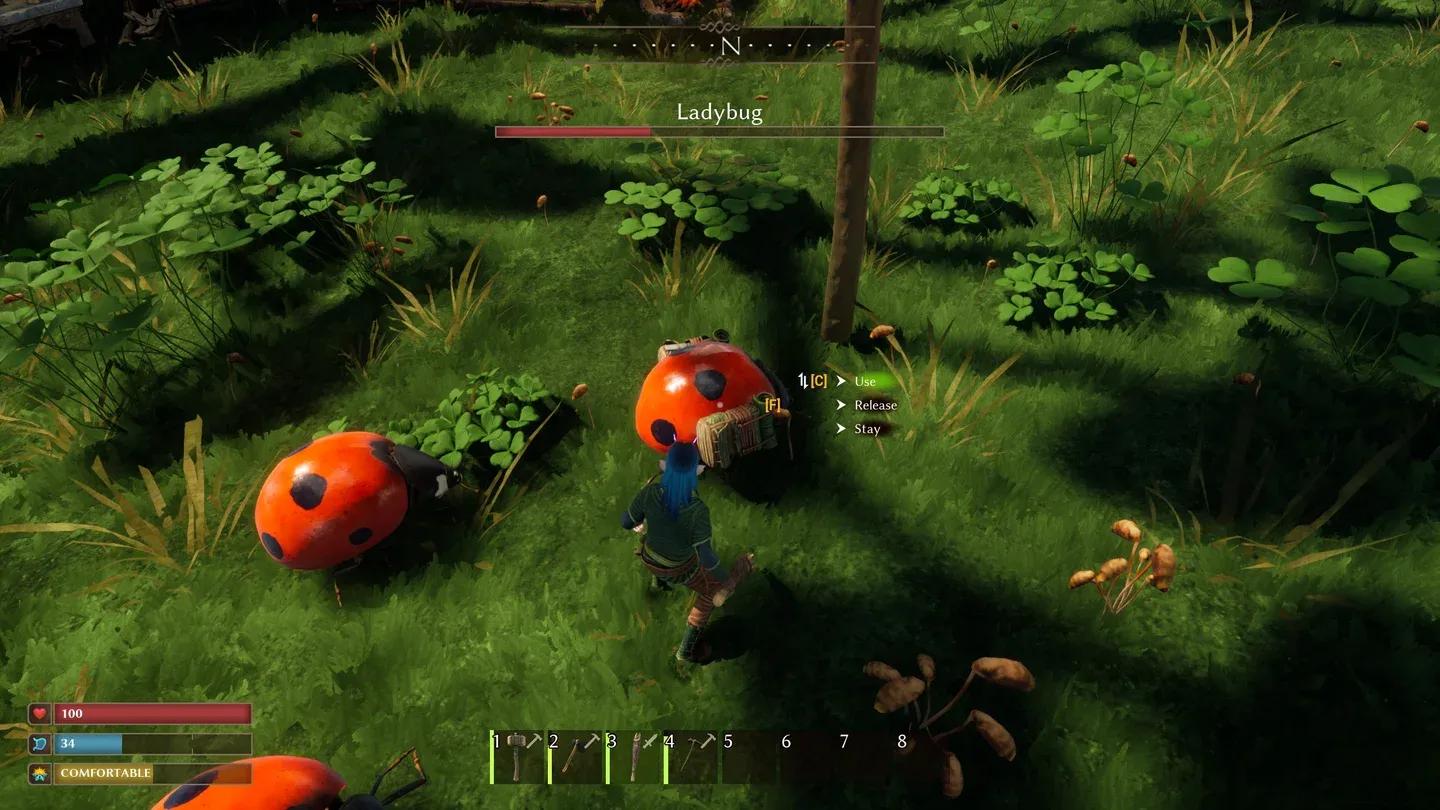 Companion taming interface