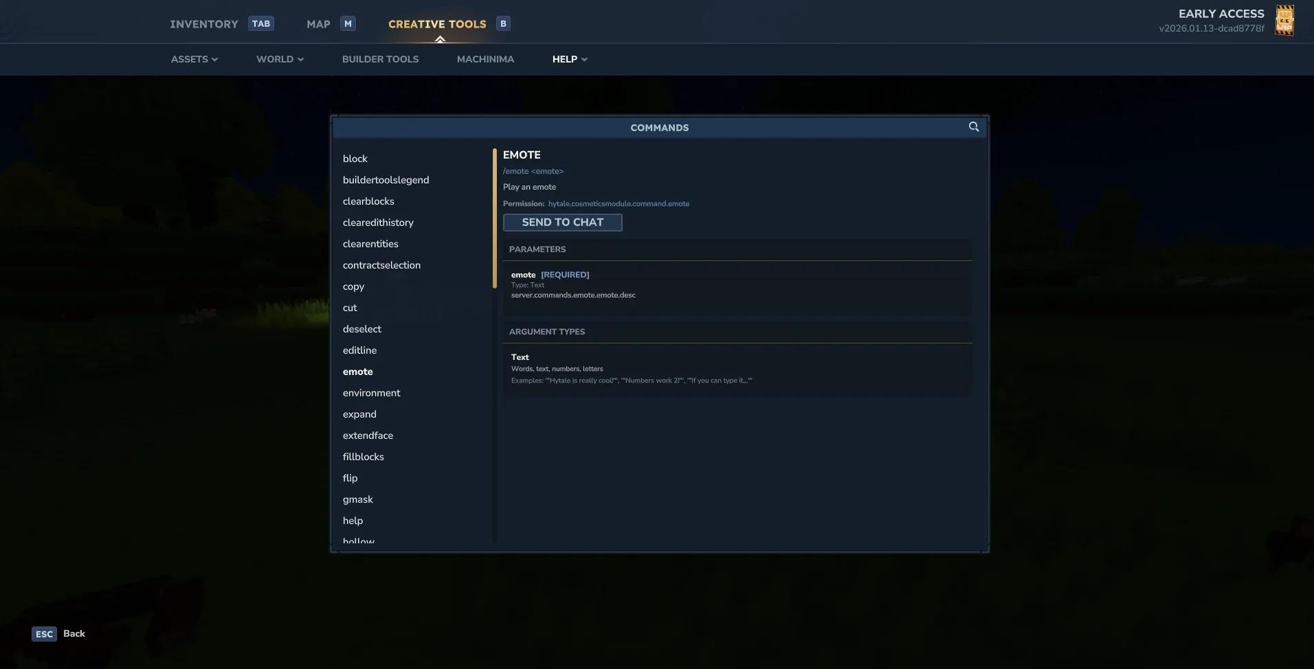 Server startup console