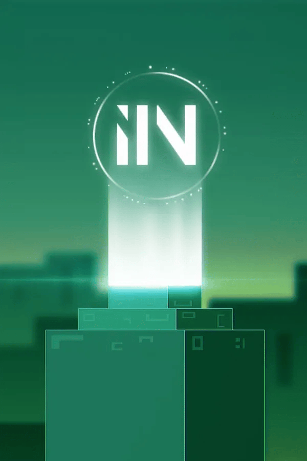 IIN