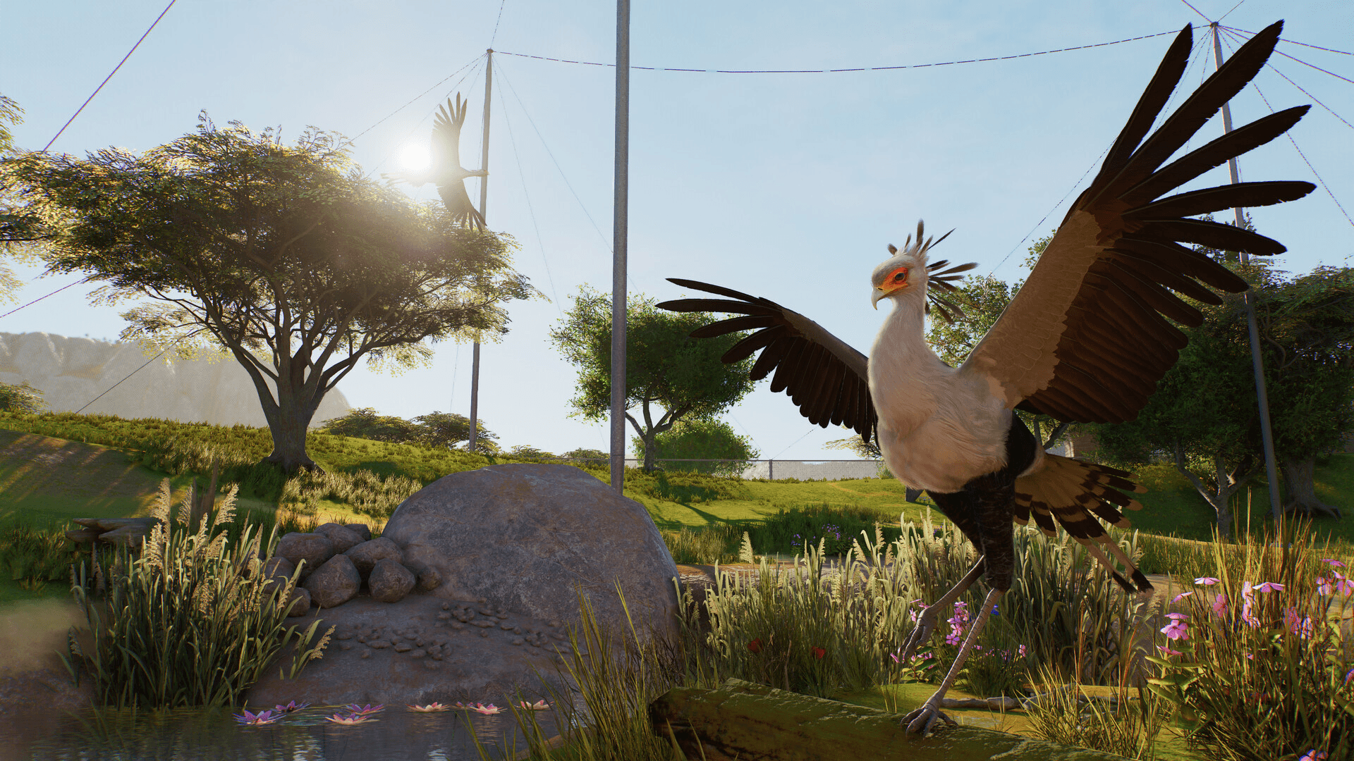 Planet Zoo 2 指南:如何放归动物