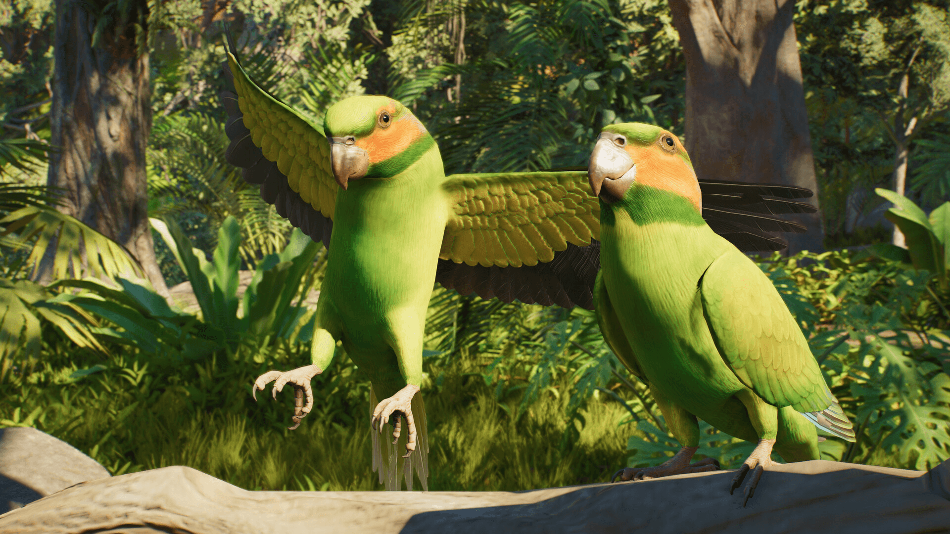 image-1792014574671.png
