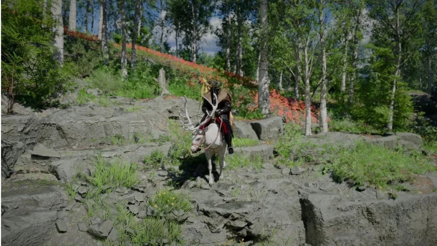 Snowwhite Deer en Silver Wolf Mountain