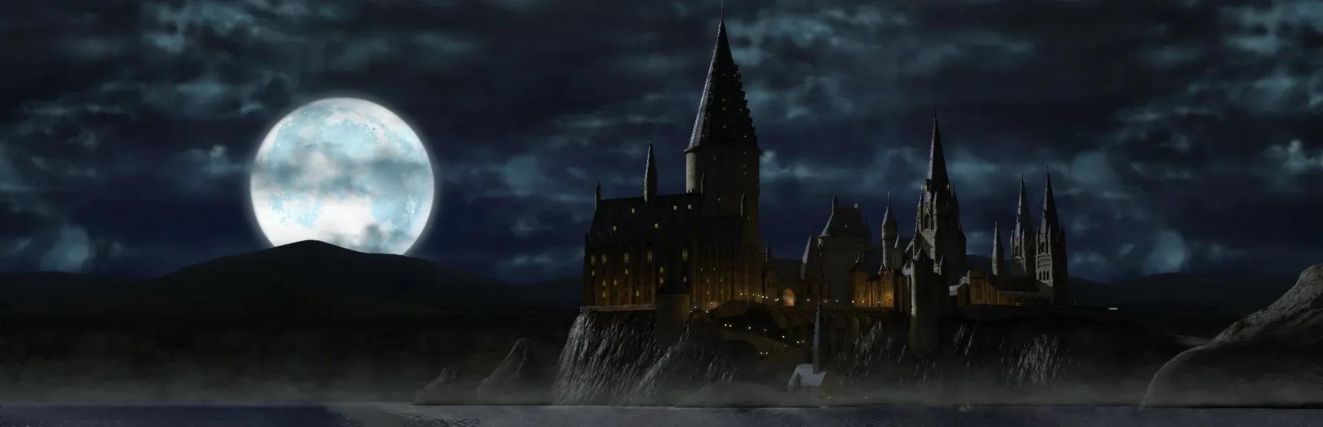 LEGO Harry Potter: Years 1-4 Banner