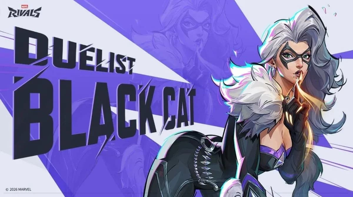 Black Cat Wild Card Bundle