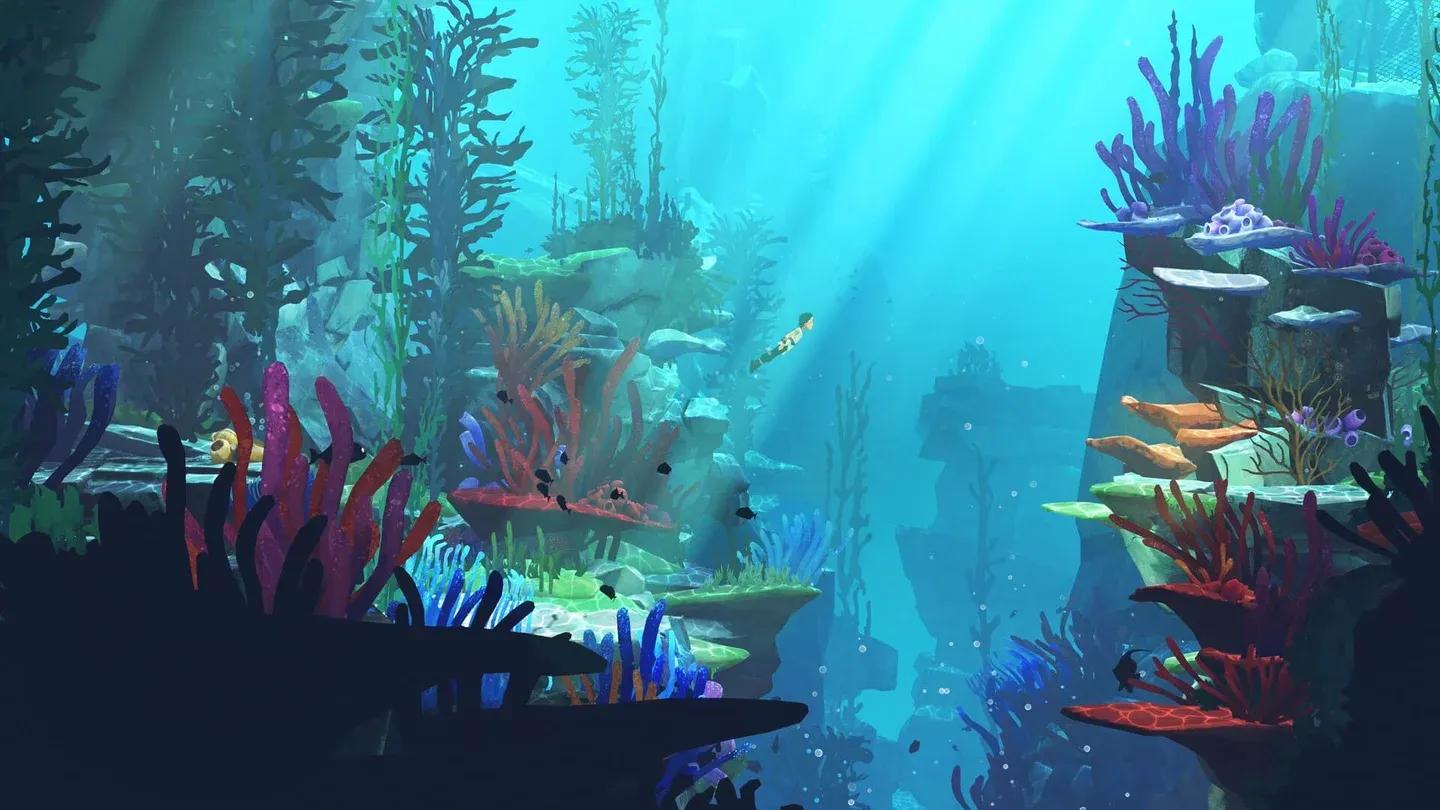 Demoa underwater free diving