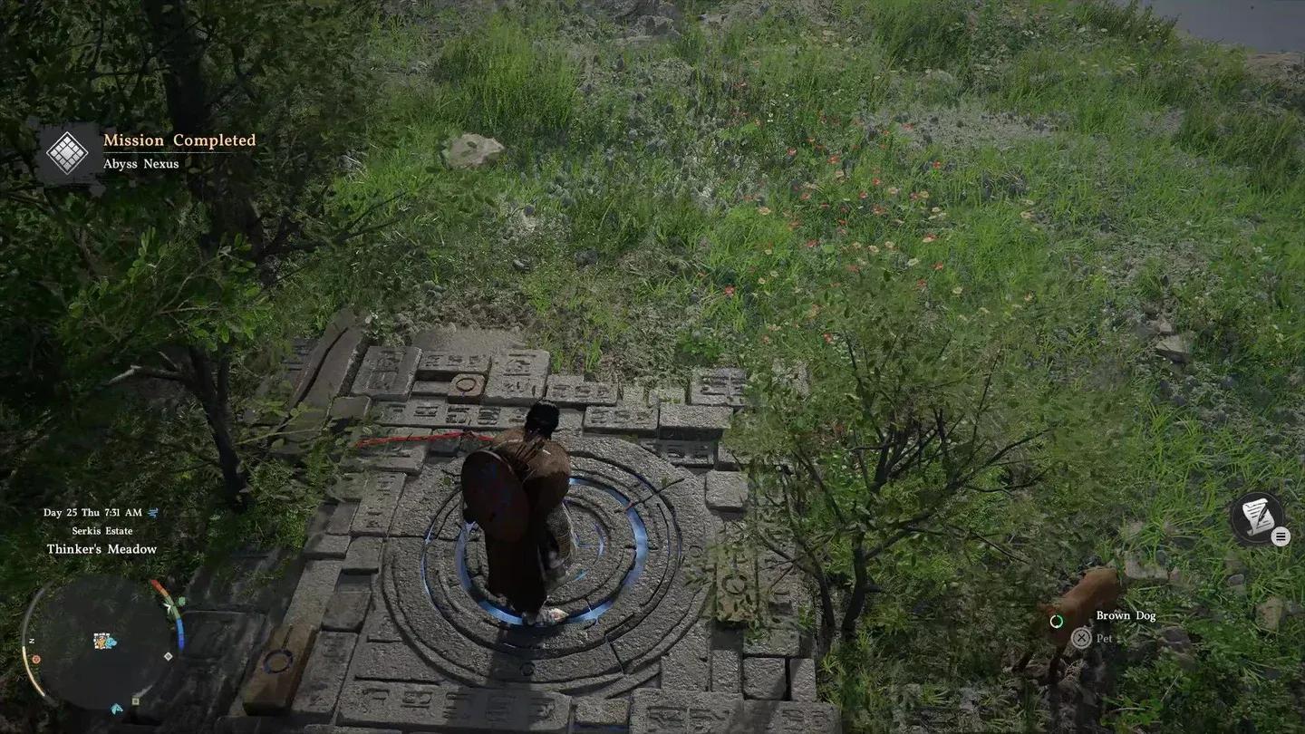 Burning the Spire entrance thicket