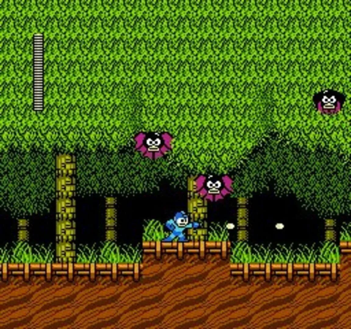 Mega Man 2 Gallery 9