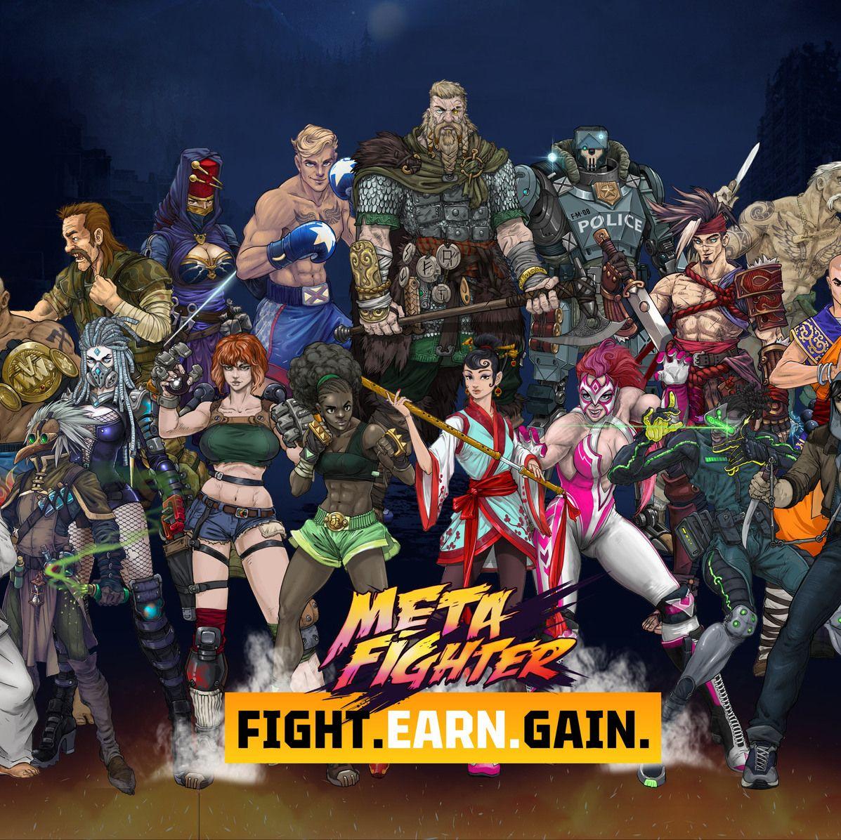 MetaFighter