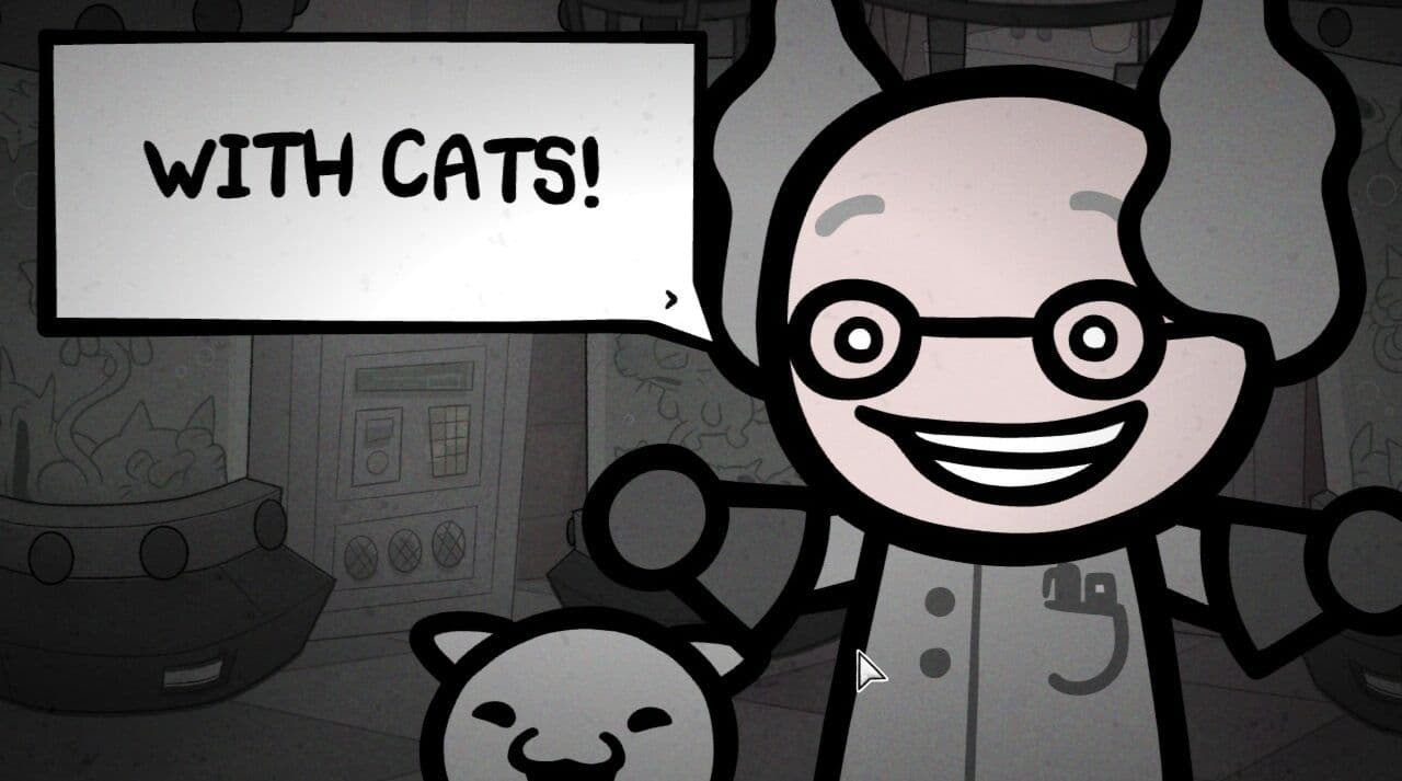 Stray cat stat overview