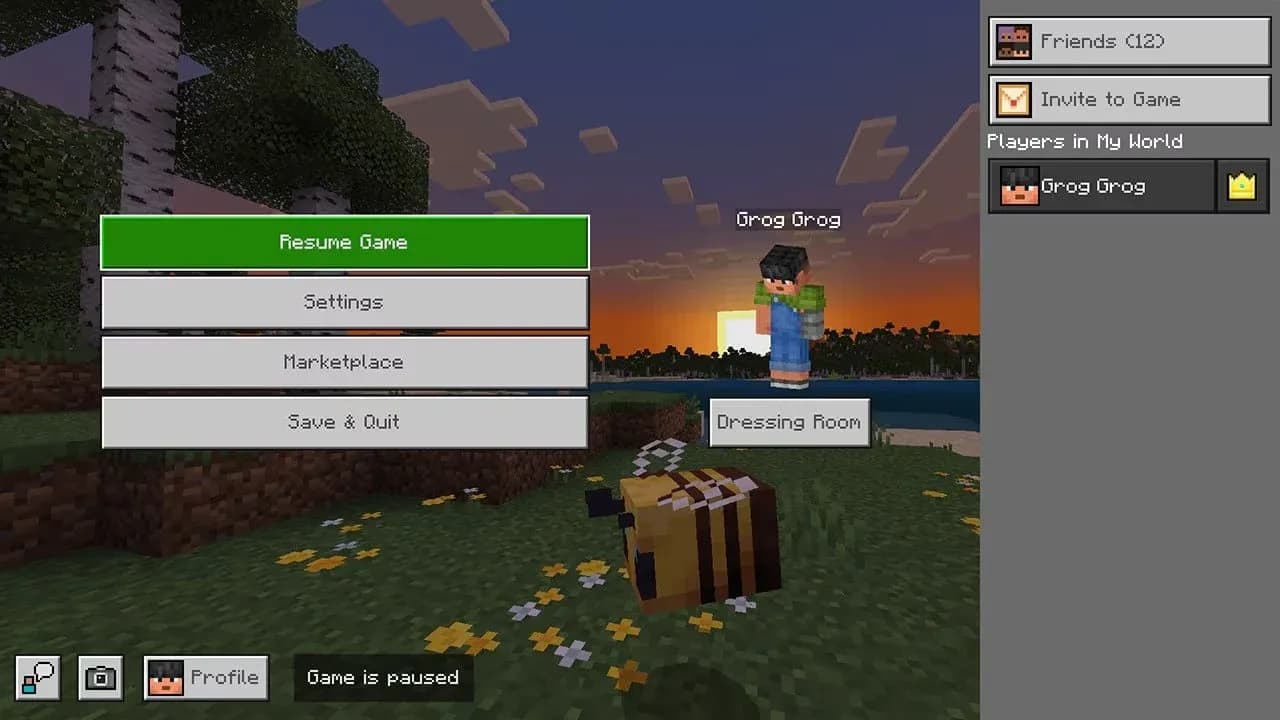 Bedrock party system UI