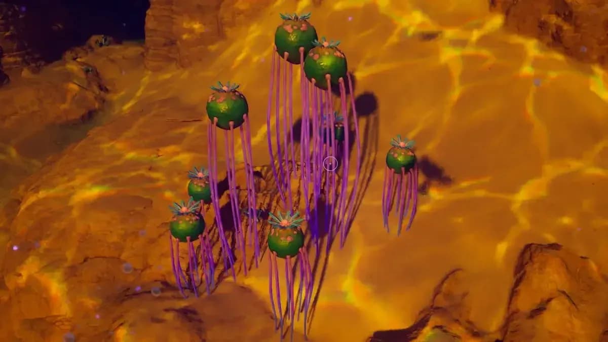 Stilt Orbs on the seafloor