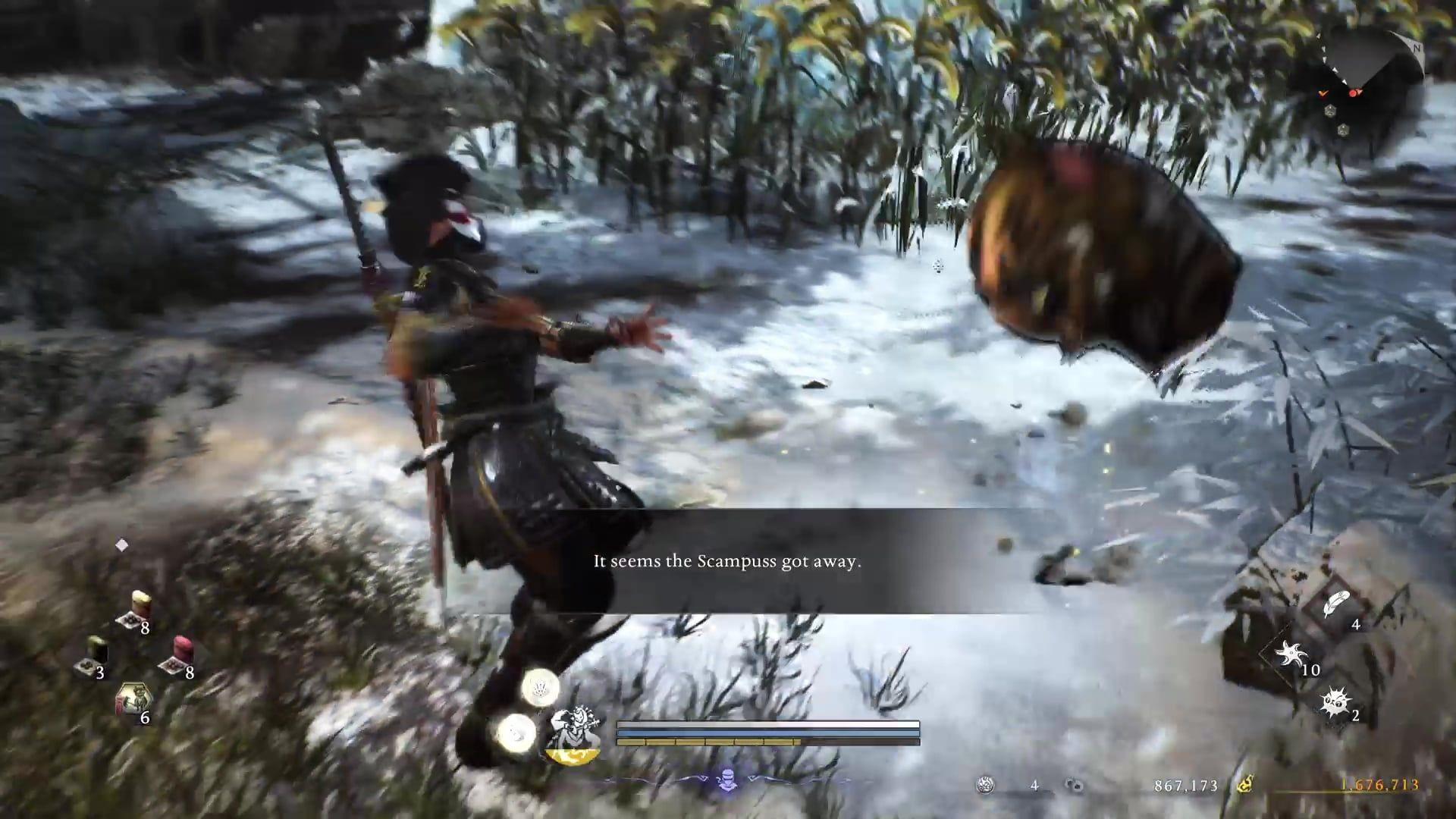 正在进行猫妖追逐