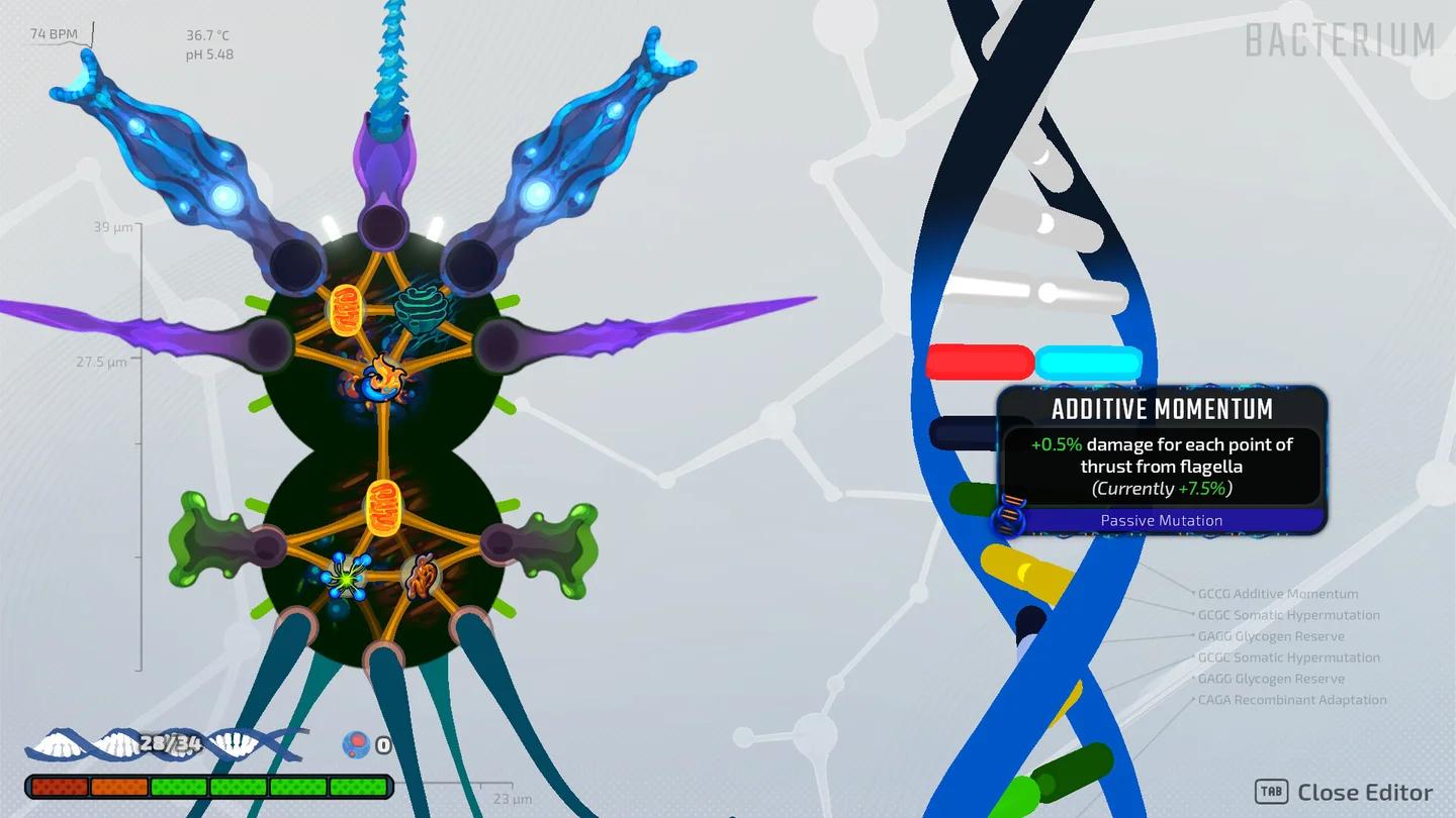 Pathogenic Gallery 2