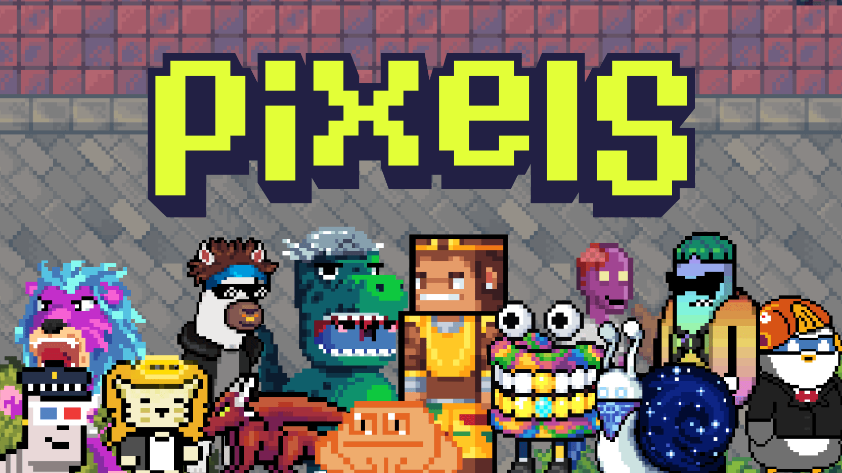 Pixels, Polygon'dan Ronin Ağı'na Geçiyor image