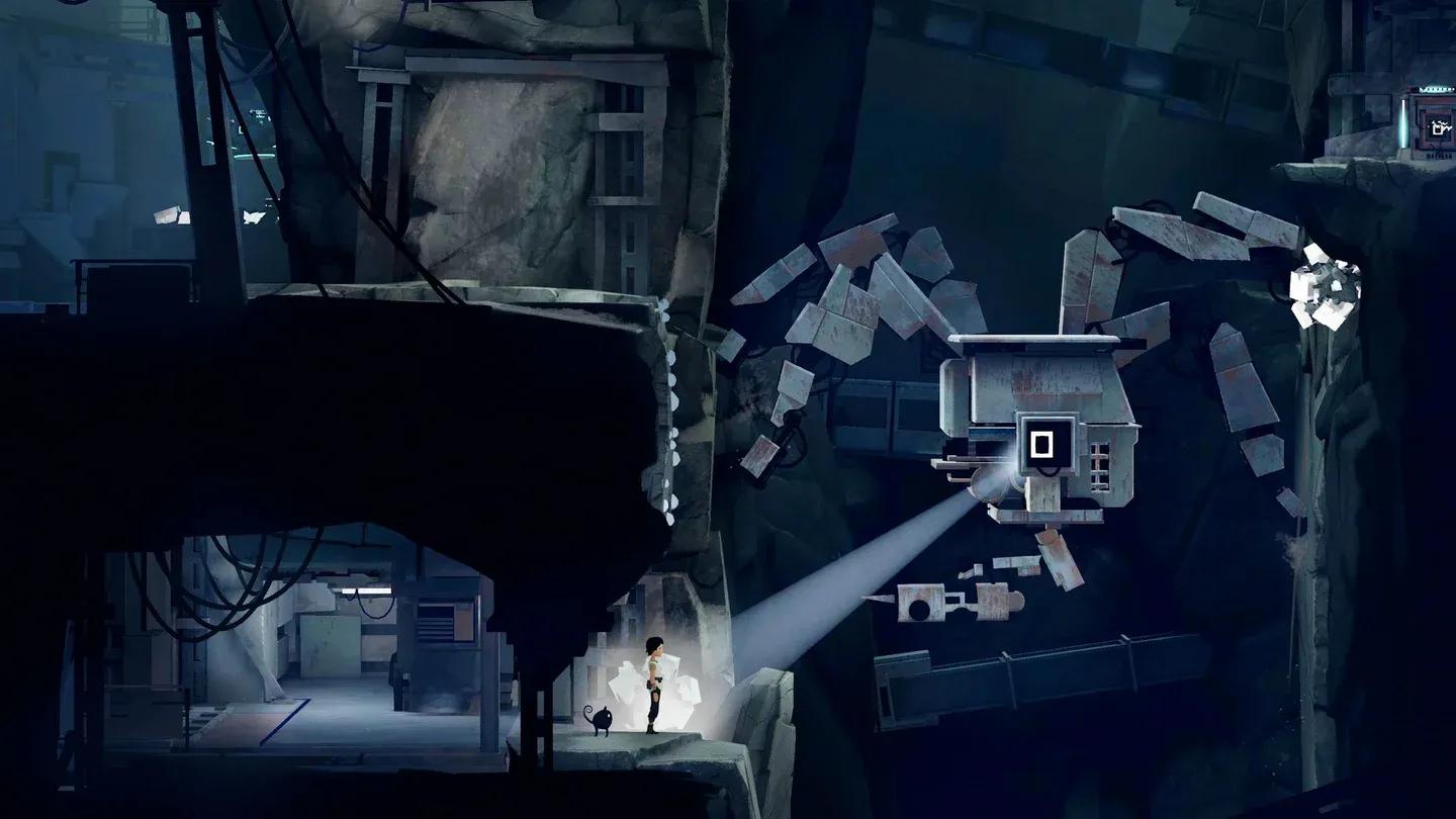 Electrical Shark patrol timing