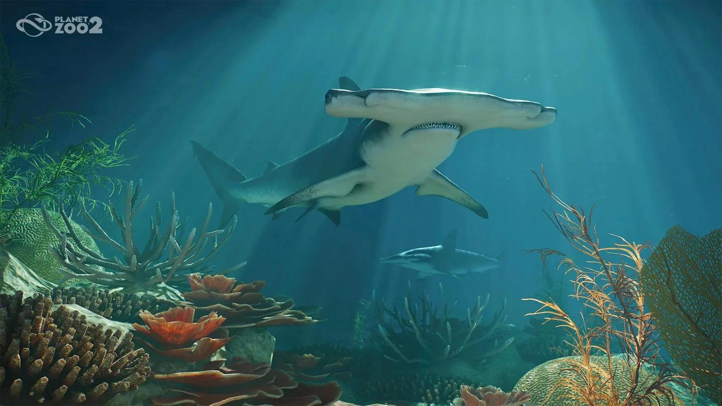 Planet Zoo 2 aquarium enclosure with Great Hammerhead shark swimming