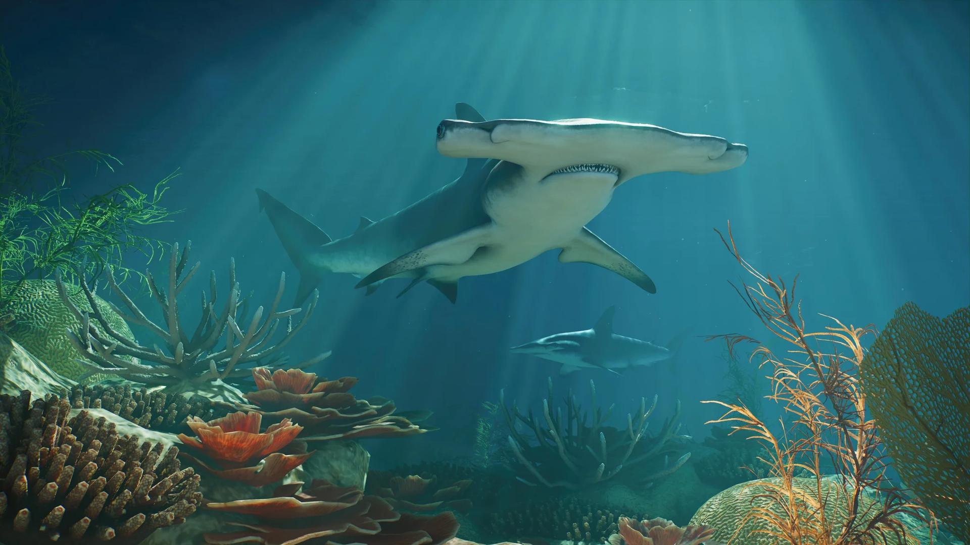 Planet Zoo 2 Aquarium Guide: Build, Filter, and Keep Tanks Clean
