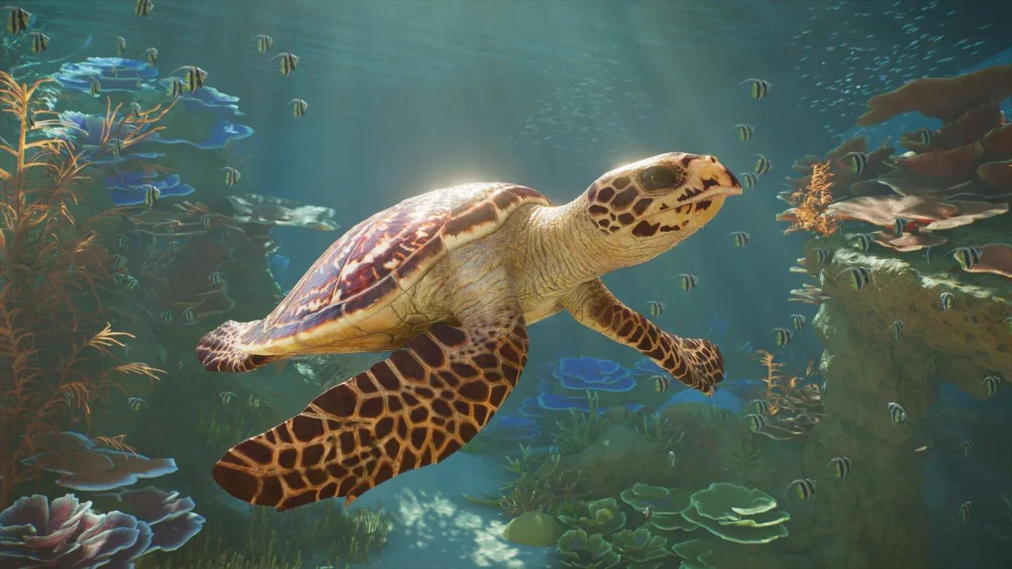 Planet Zoo 2 Gallery 2