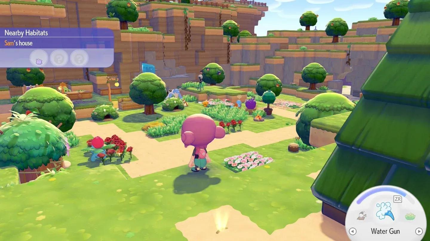 Planter des arbres augmente l'humidité