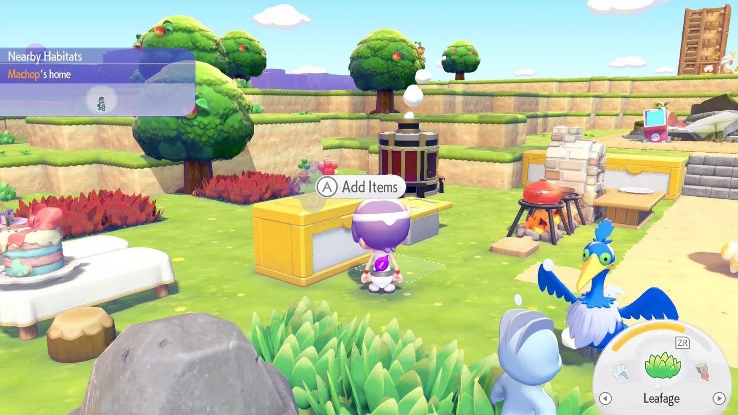 Decorated habitat boosts comfort