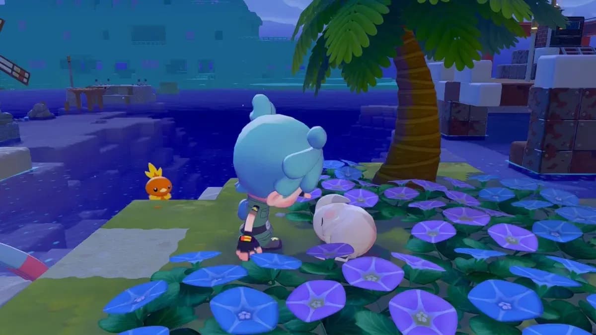 Water chaos on a Pokopia island