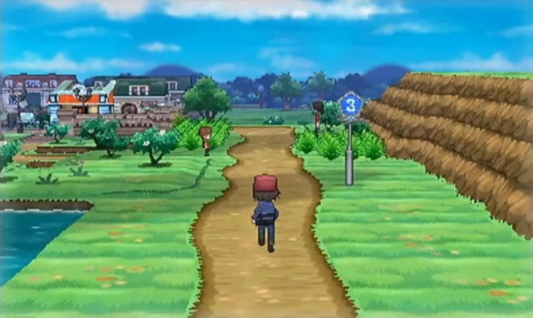 Pokémon X Banner