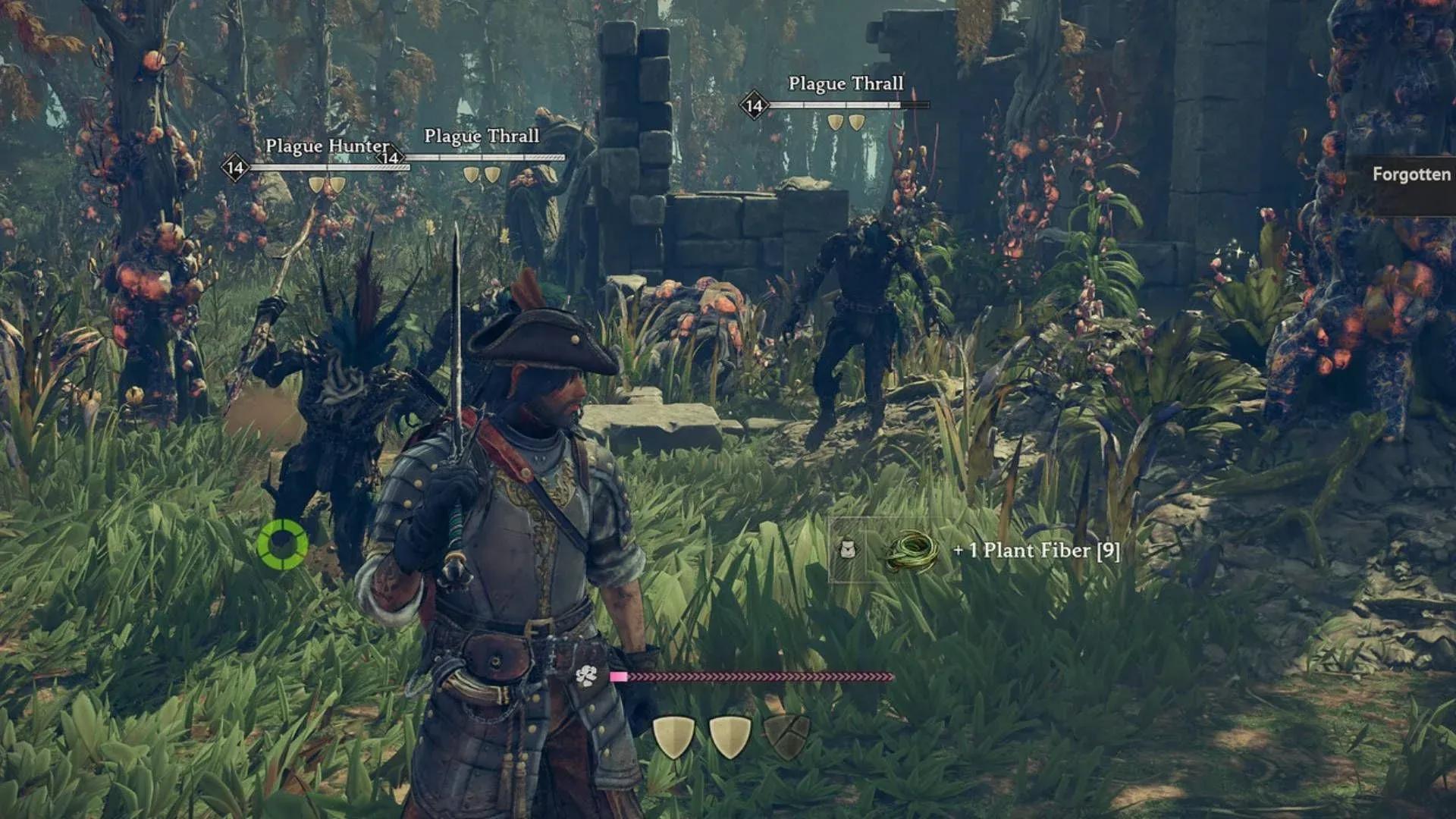 Windrose Guide: How to Get Quagmire Powder