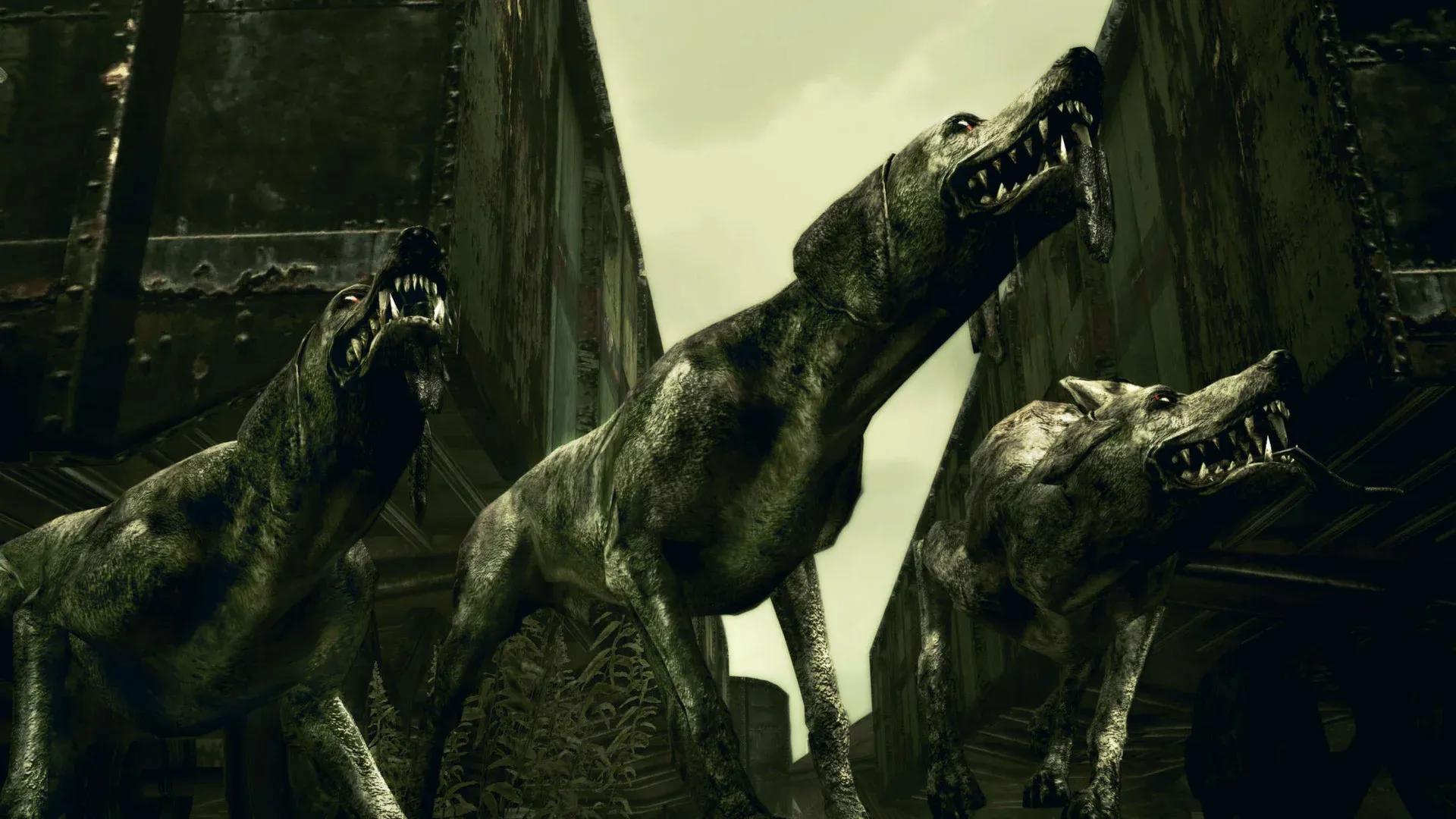 Resident Evil 5 Screenshot 40