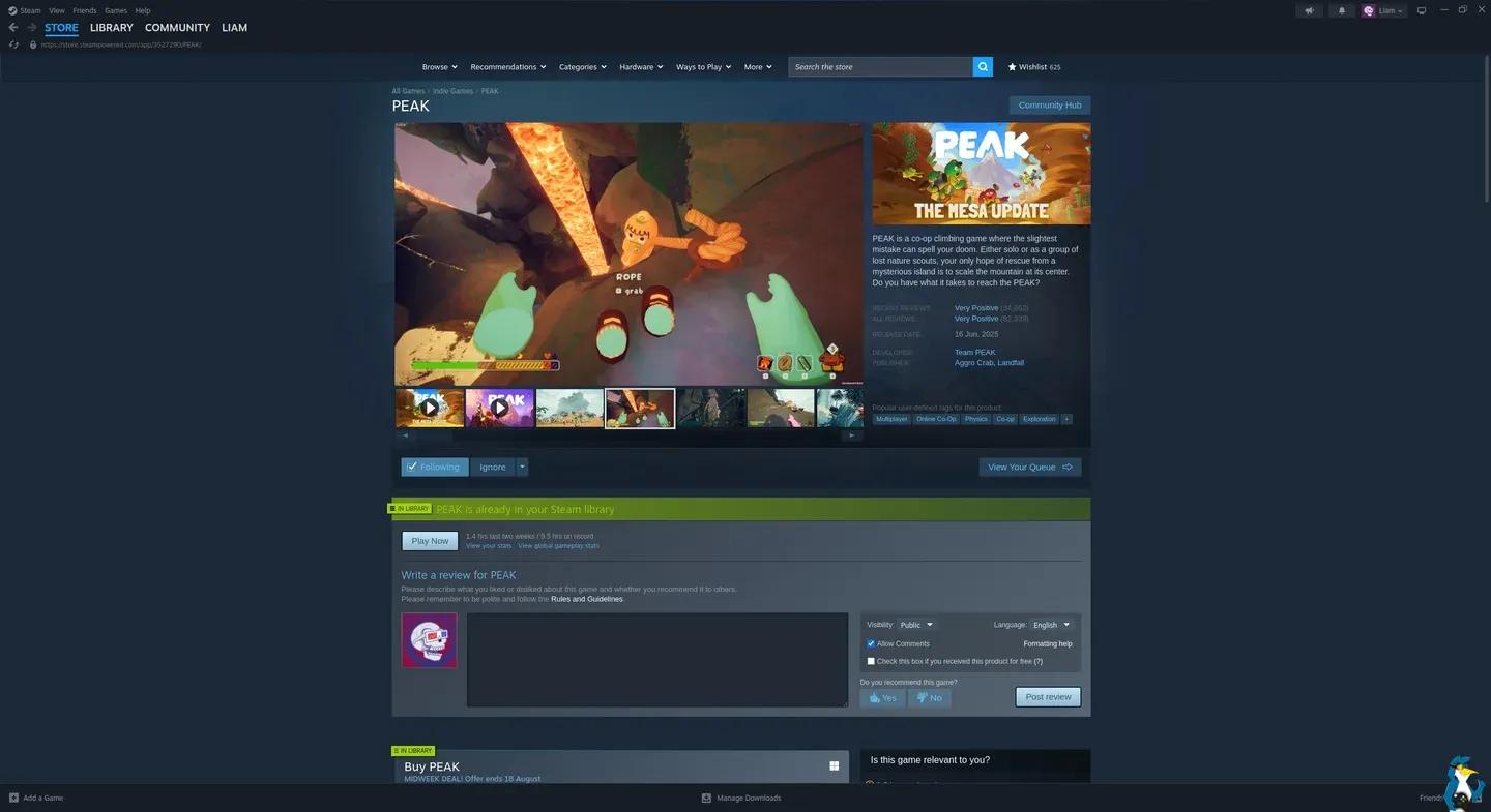 Steam's crowded new releases