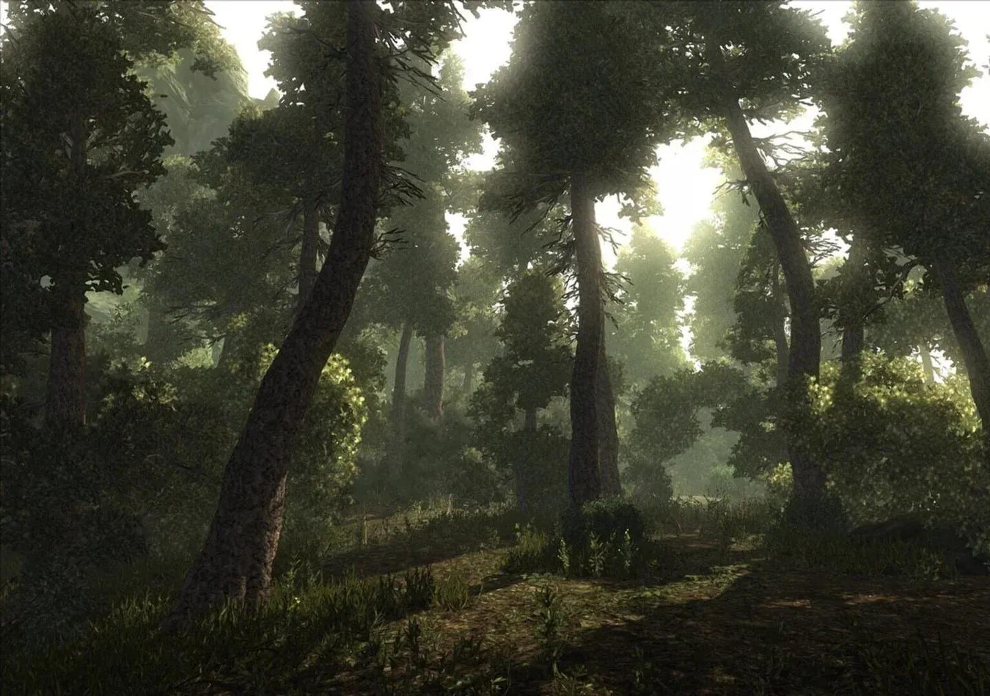Risen content image